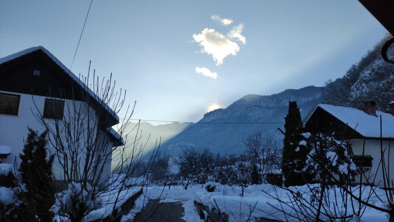 Alp House Hotel Bohinjska Bela Exterior photo